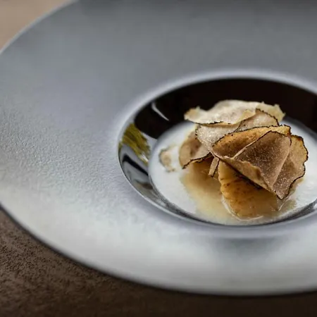 Limax Acis 4* Cherasco